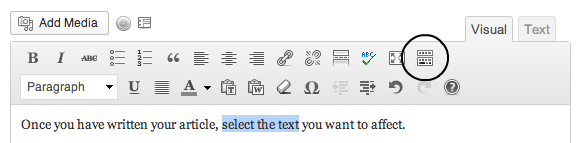 The Wordpress formatting button for 'kitchen sink'