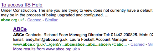 New ABCe homepage in Google