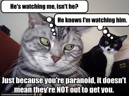 LOLCAT: He's watching me isn't he? / He knows I'm watching him