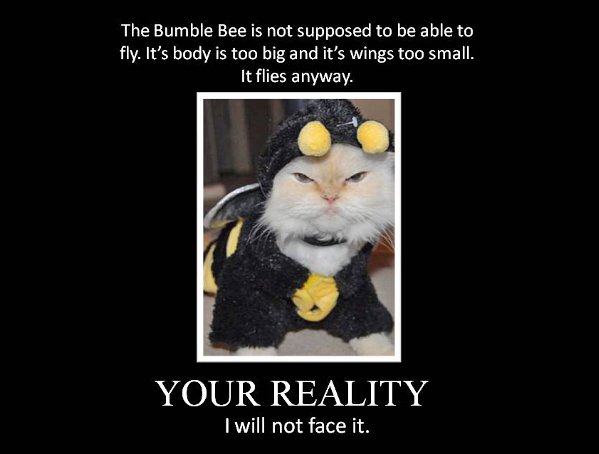 Your reality: I will not face it