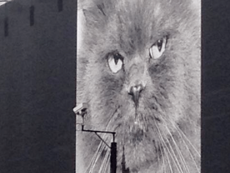 Surveillance camera with big cat image behind