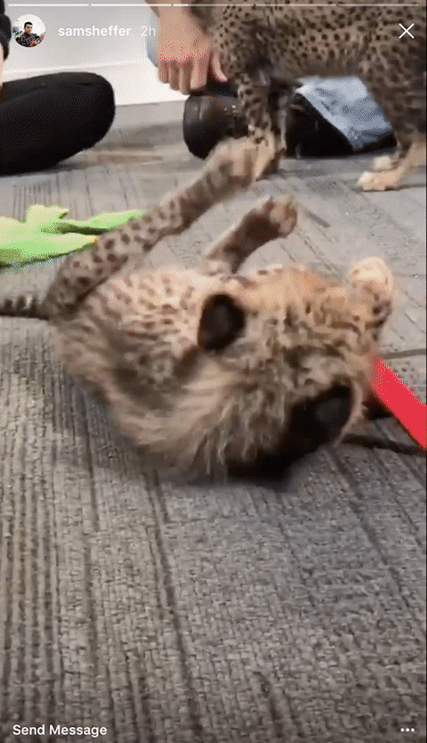 Snapchat's horizontal navigation