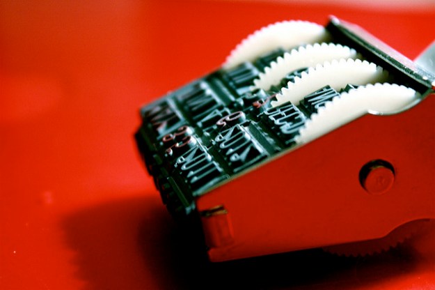 datestamp by wahoo bird