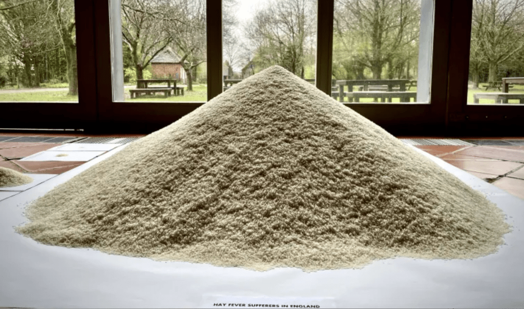 A pile of rice with the label "Hay fever sufferers in England"